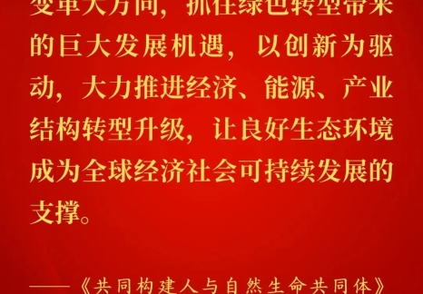 能源金句：習(xí)近平關(guān)于國(guó)家能源安全重要論述（二百零一）